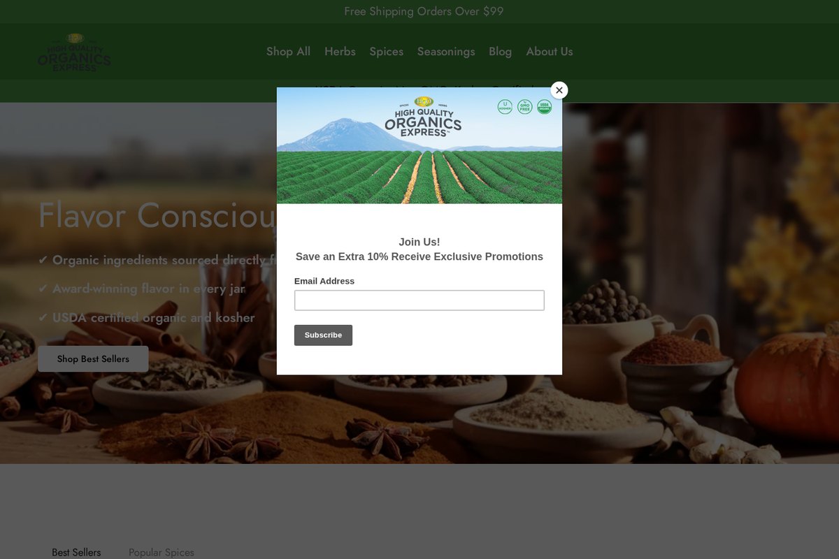 HQO Express website — Shopify project by Neha Jain